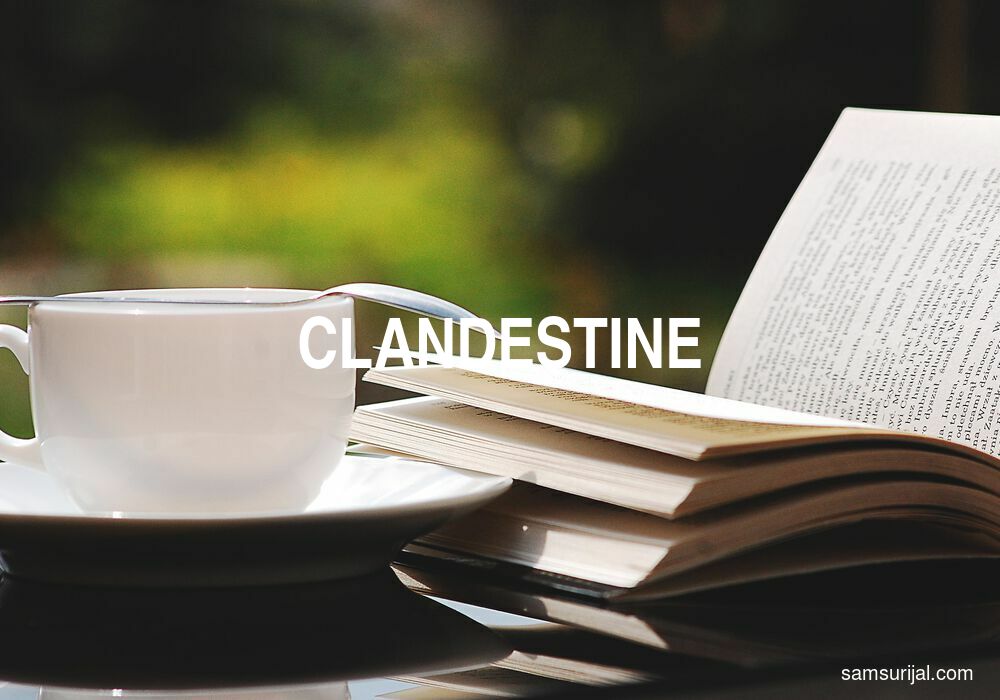 Arti Clandestine