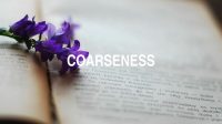 Coarseness