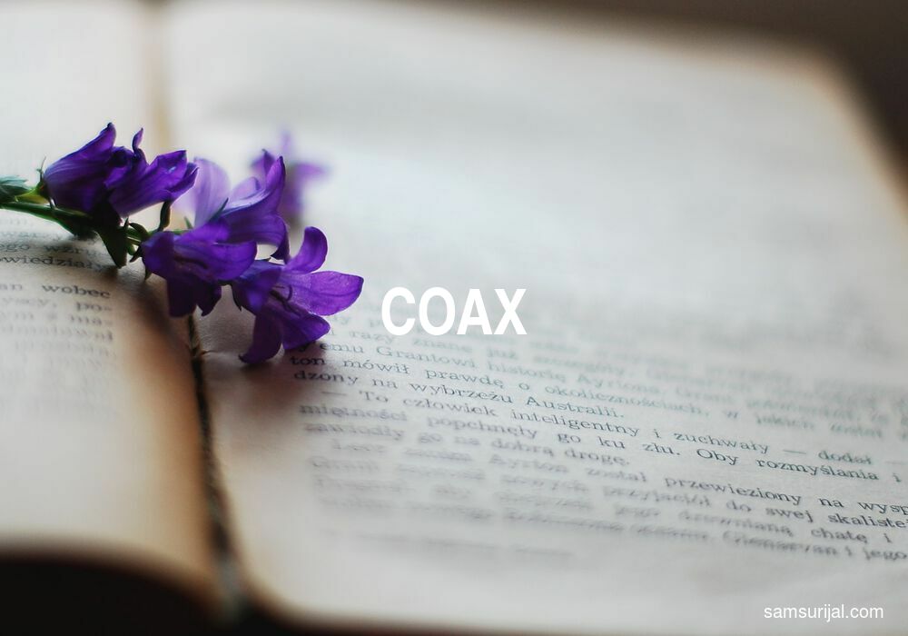 Arti Coax