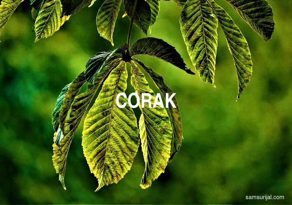 Arti Corak