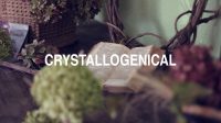 Crystallogenical