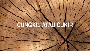 Cungkil atau Cukir