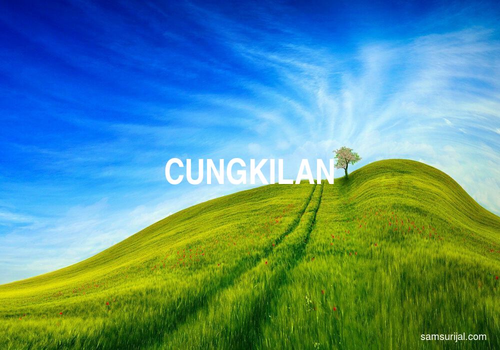 Arti Cungkilan