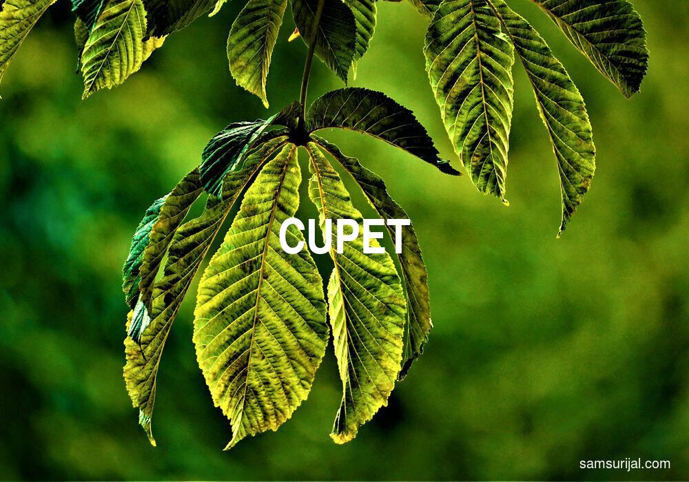 Arti Cupet