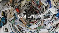 Cushewbird