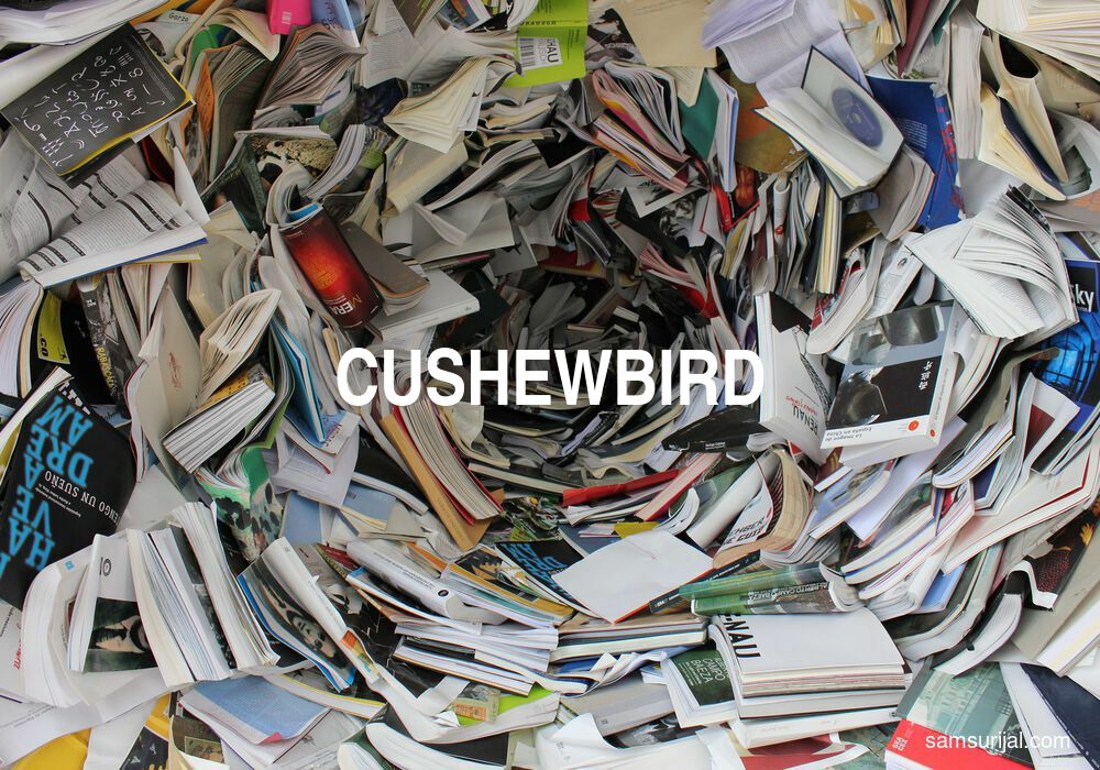 Arti Cushewbird