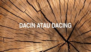 Penulisan Dacin Atau Dacing