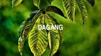 Dagang