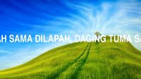 Daging Gajah Sama Dilapah, Daging Tuma Sama Dicecah