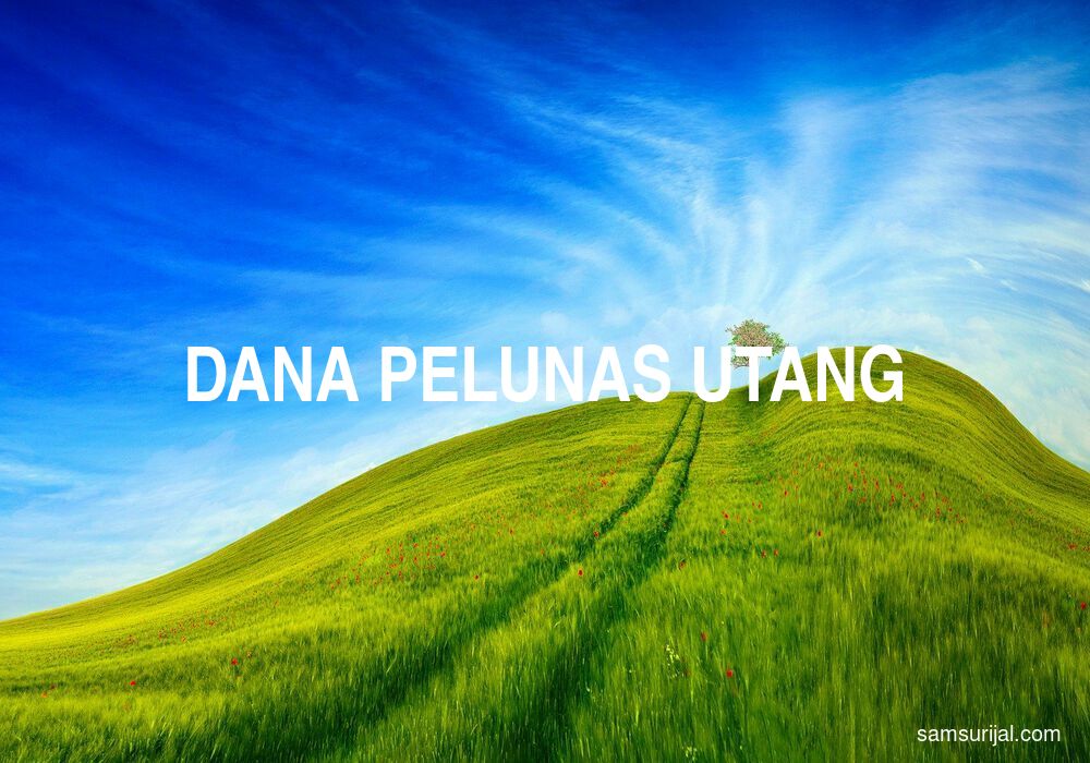 Arti Dana Pelunas Utang