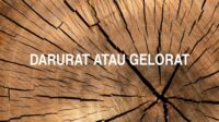 Darurat atau Gelorat