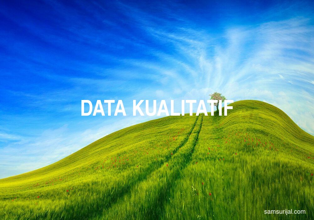 Arti Data Kualitatif