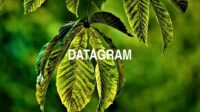 Datagram