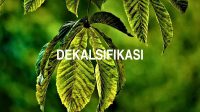 Dekalsifikasi