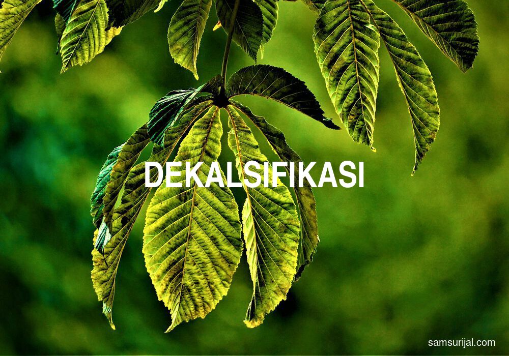 Arti Dekalsifikasi