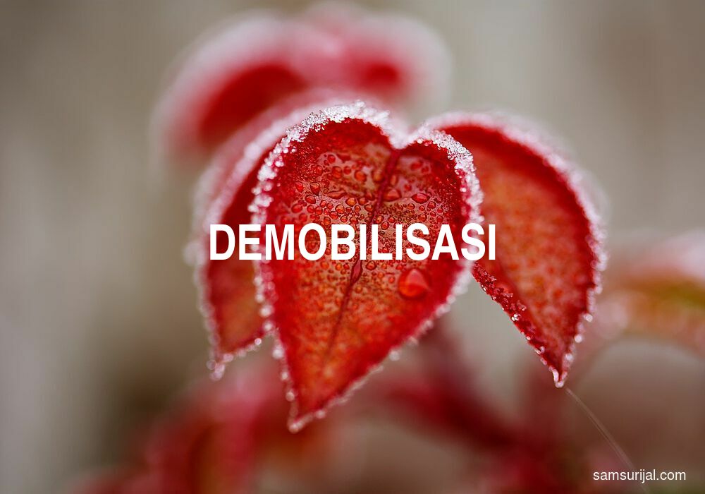 Arti Demobilisasi