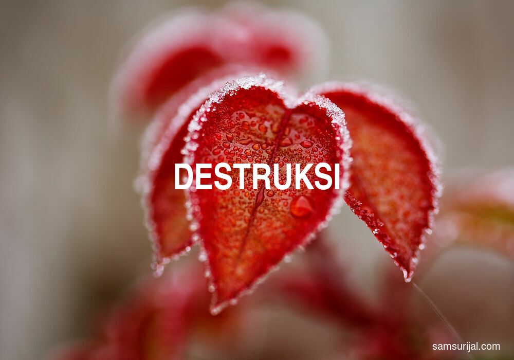 Arti Destruksi