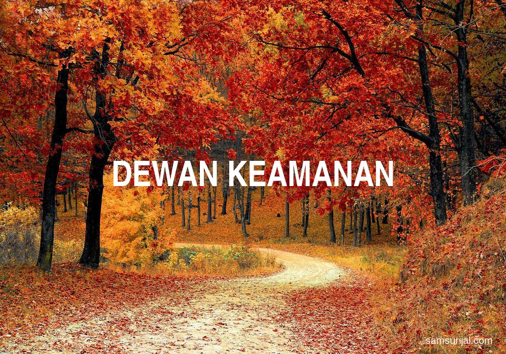 Arti Dewan Keamanan