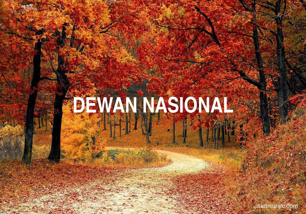 Arti Dewan Nasional