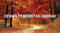 Dewan Pemerintah Daerah