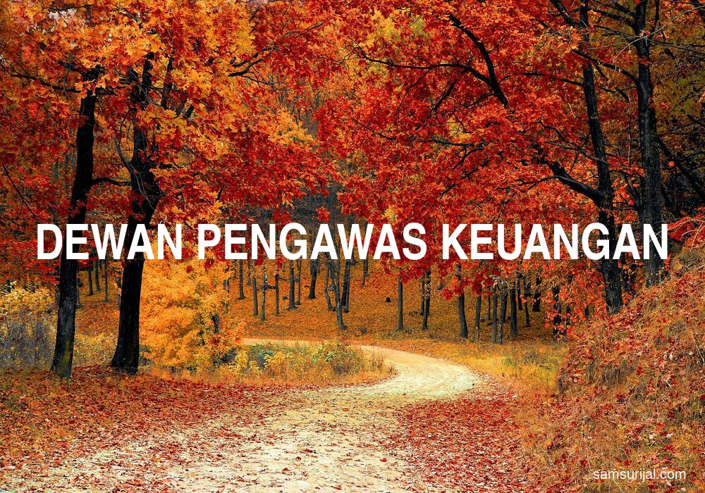 Arti Dewan Pengawas Keuangan