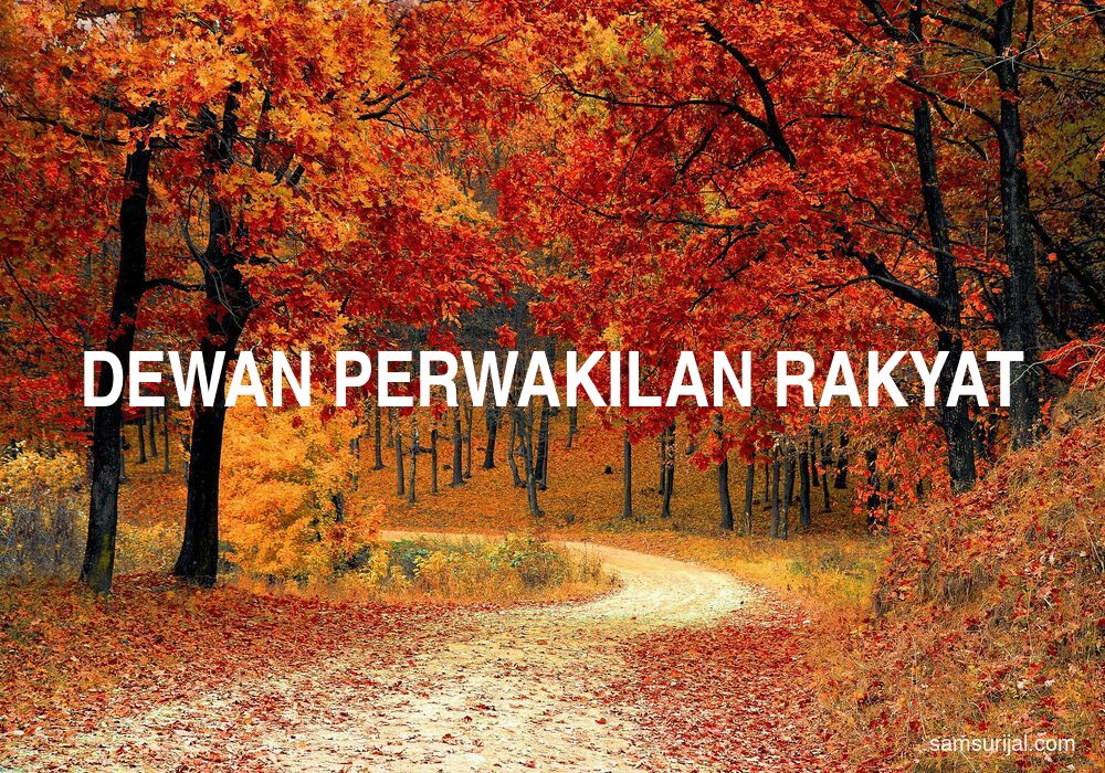 Arti Dewan Perwakilan Rakyat