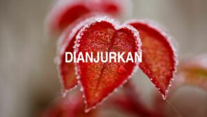 Dianjurkan