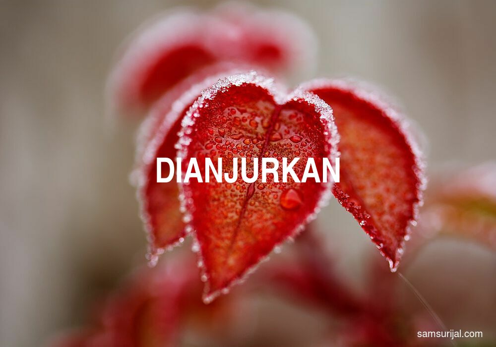 Arti Dianjurkan