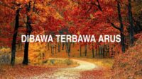 Dibawa Terbawa Arus