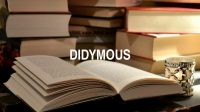 Didymous