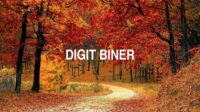 Digit Biner