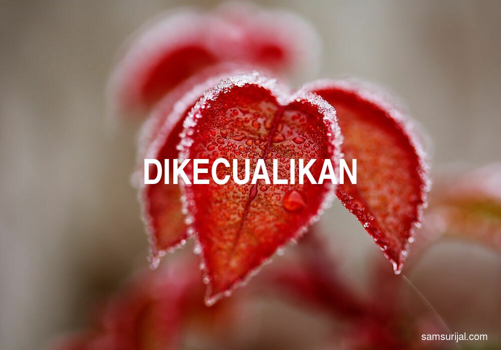 Arti Dikecualikan