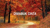 Dimabuk Cinta