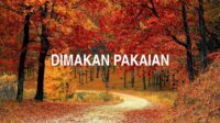 Dimakan Pakaian