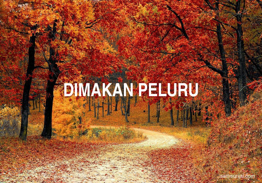 Arti Dimakan Peluru