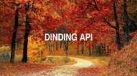 Dinding Api