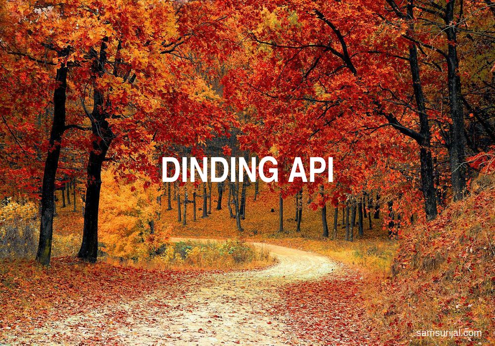 Arti Dinding Api