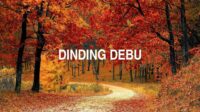 Dinding Debu