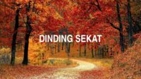 Dinding Sekat