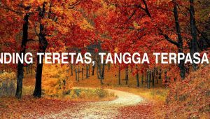 Dinding Teretas, Tangga Terpasang