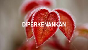 Diperkenankan