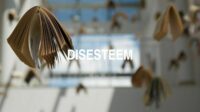 Disesteem