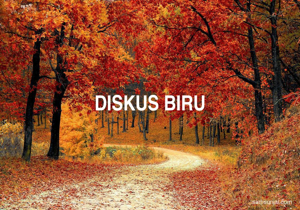 Arti Diskus Biru