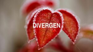 Arti Divergen