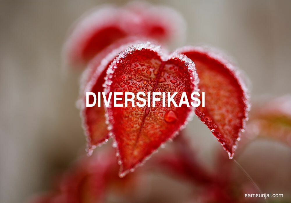 Arti Diversifikasi