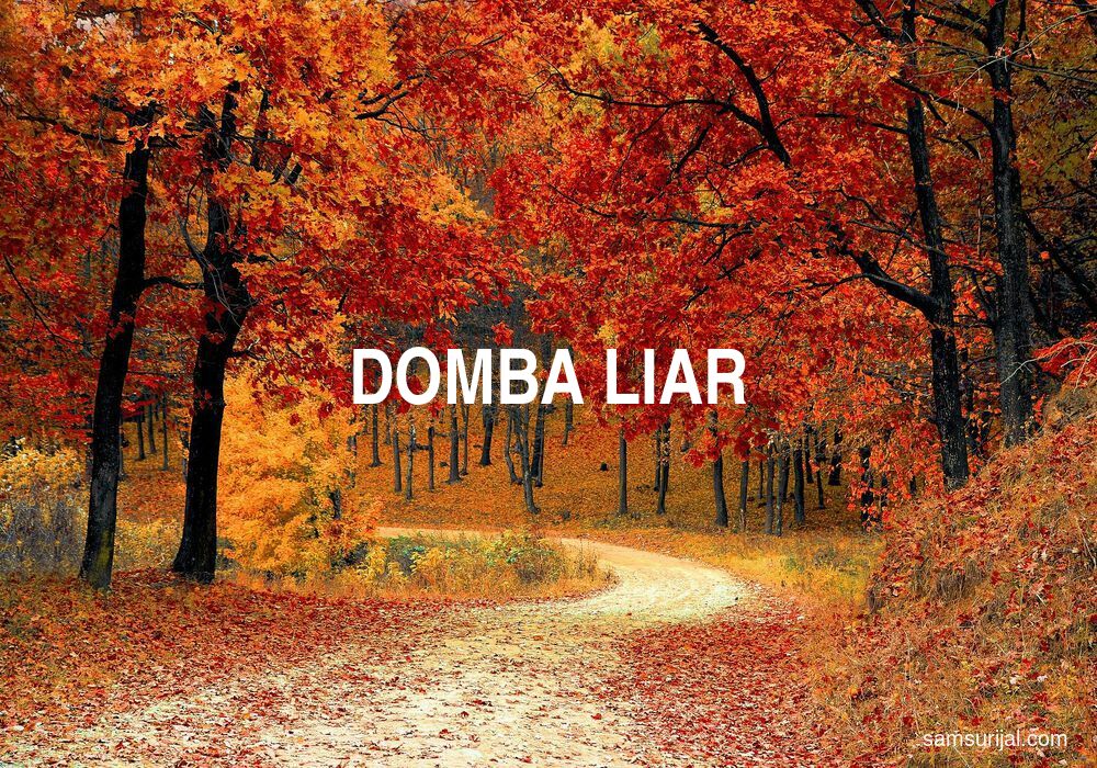 Arti Domba Liar