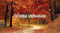 Domba Umbaran