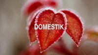 Domestik