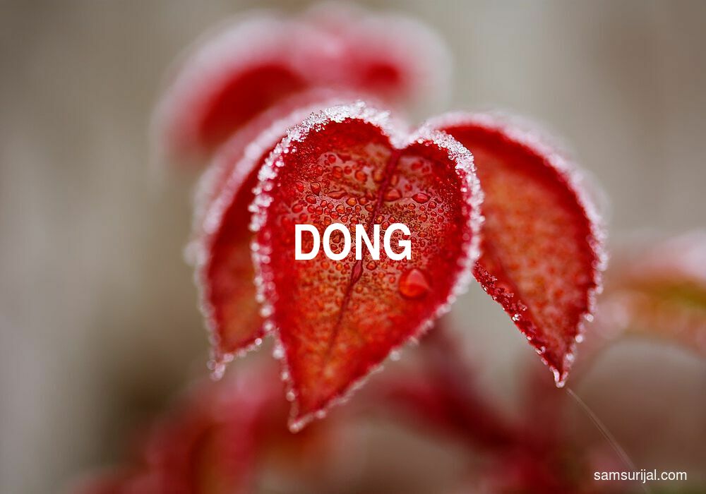 Arti Dong