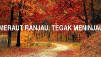 Duduk Meraut Ranjau, Tegak Meninjau Jarak